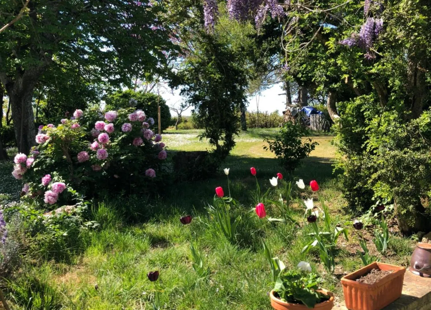 Chateau De Cartou Duffort Bed & Breakfast
